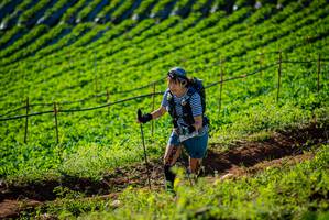 BIB: 
                            <button type="button" onclick="openModal(19160442)" class="btn btn-primary btn-sm float-right btn-popup" data-toggle="modal" data-target=".modal-high-quality">
                        <i class="fas fa-shopping-cart"></i> Add to Cart
                    </button>
                                            <button type="button" onclick="isThisMe(19160442, true)" class="btn btn-success btn-sm float-right btn-popup btn-isme hidden" data-toggle="tooltip" data-placement="bottom" title="นี่คือรูปของคุณใช่ไหม คลิกที่นี่เพื่อเอาเข้าอัลบั้ม">
                        <i class="fas fa-plus"></i> Add to album
                    </button>
                    <button type="button" onclick="isThisMe(19160442, false)" class="btn btn-warning btn-sm float-right btn-popup btn-isnotme hidden">
                        <i class="fas fa-ban"></i> Remove from album
                    </button>